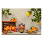 آب مرکبات گیری اسمگ مدل SMEG CJF01DG - تصویر 5
