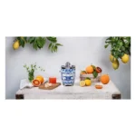 آب مرکبات گیری اسمگ مدل SMEG CJF01DGB - تصویر 7